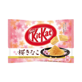 KitKat – Sakura Kinako